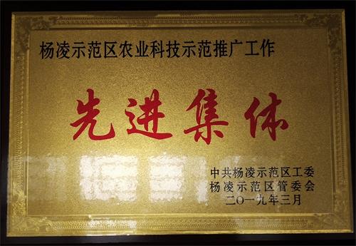 楊凌示范區(qū)農(nóng)業(yè)科技示范推廣工作先進(jìn)集體